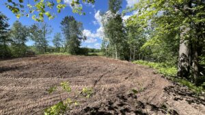 Food plot cleared and planted